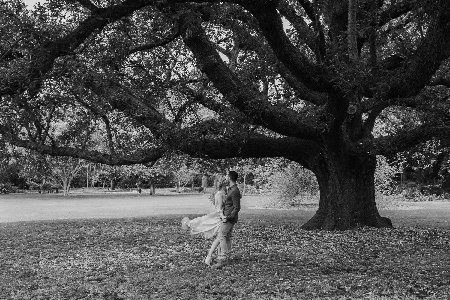 Black and white frame of a couple beneath an enormous old tree