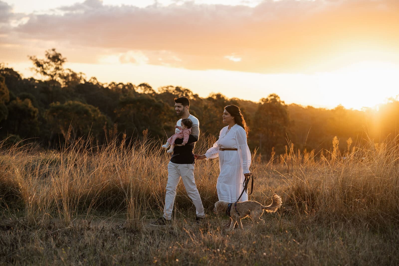 Family walking through a golden field in late afternoon light near Sydney