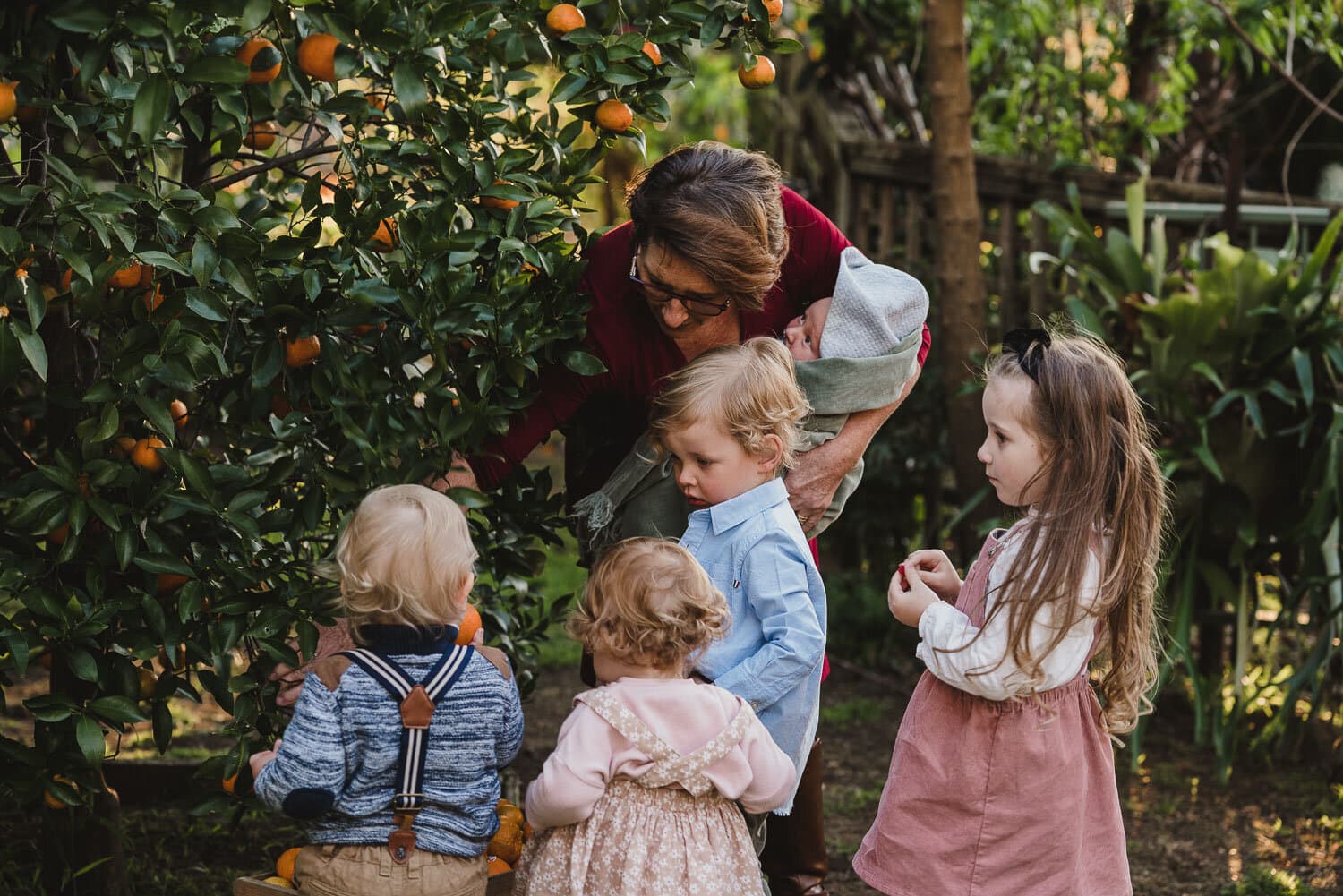 Children among the trees in an orchard during a family photoshoot