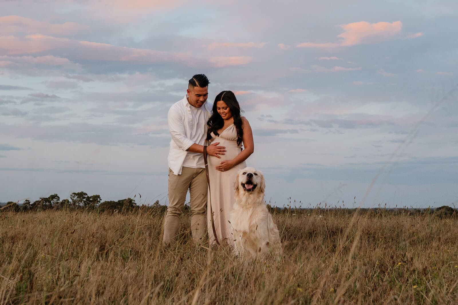 Expecting couple and their golden retriever in a Sydney field at sunset during a maternity photography session