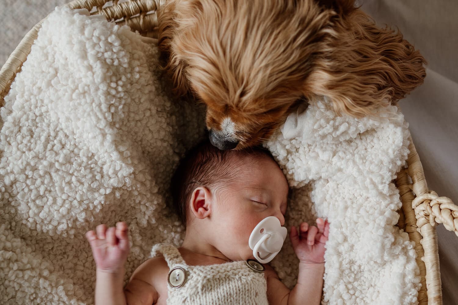 Newborn asleep beside the family dog on a soft blanket